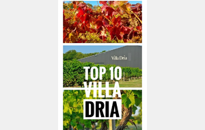 Top 10 Villa Dria mois de Septembre